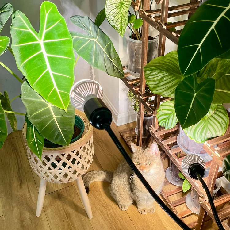 Grow Lights