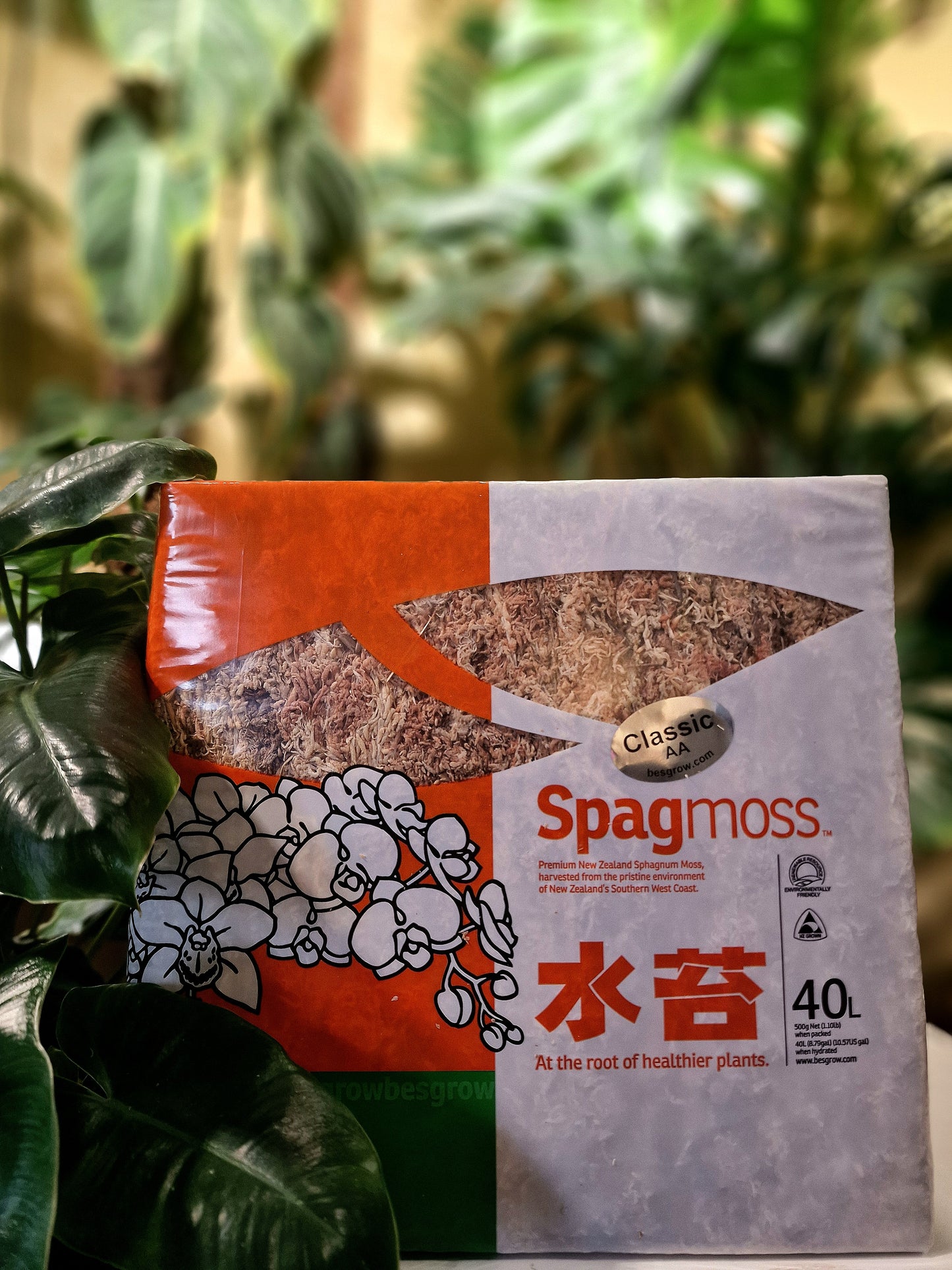 Sphagnum Moss 500g