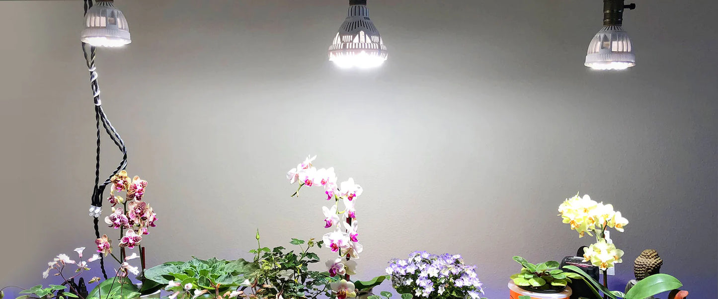 SANSI 24W LED Ræktunarpera E27