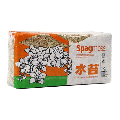 Sphagnum Moss 150g